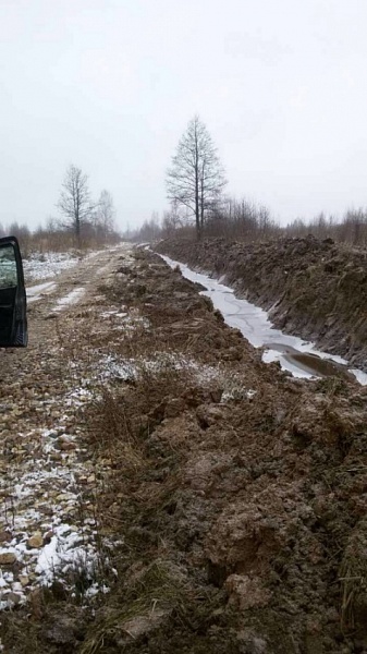 Работы по устранению подтопления некоторых участков дороги Орша — Ширяево находятся на контроле Уполномоченного